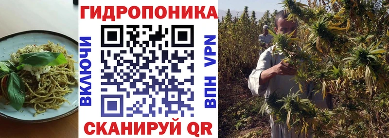 Купить закладки  Кимовск  Еда ТГК марихуана 